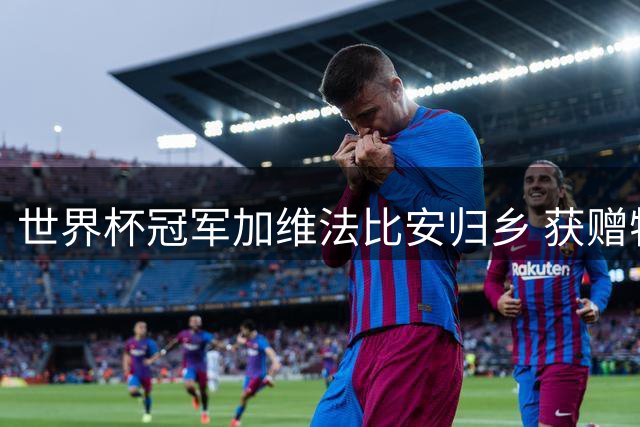 世界杯冠军加维法比安归乡 获赠特制"西红柿"大礼