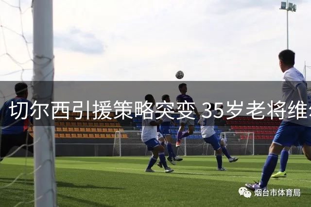 切尔西引援策略突变 35岁老将维尔贝克或成蓝军新目标